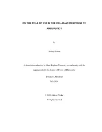 On the Role of P53 in the Cellular Response To