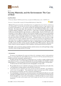 Society, Materials, and the Environment: the Case of Steel
