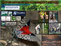 Spotted Lanternfly Community Response