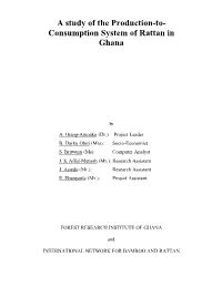 Consumption System of Rattan in Ghana