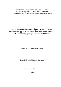 MACHADO, DANIELE FRANCO MARTINS.Pdf (2.727Mb)