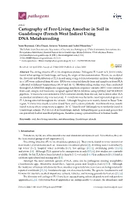 Cartography of Free-Living Amoebae in Soil in Guadeloupe (French West Indies) Using DNA Metabarcoding