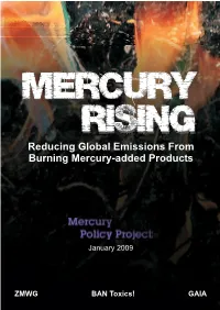 MERCURY RISING – Acknowledgements Page I a Report of the Mercury Policy Project