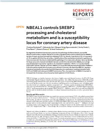 NBEAL1 Controls SREBP2 Processing and Cholesterol Metabolism and Is