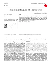 Subcutaneous Superficial Palmar Arch – an Unusual Variant