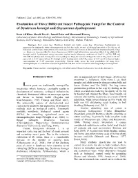 Evaluation of Three Different Insect Pathogenic Fungi for the Control of Dysdercus Koenigii and Oxycarenus Hyalinipennis