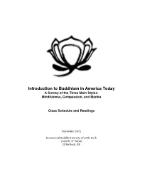 Introduction to Buddhism in America Today a Survey of the Three Main Styles: Mindfulness, Compassion, and Mantra