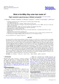What Is the Milky Way Outer Halo Made Of? High Resolution Spectroscopy of Distant Red Giants?,??,???,????