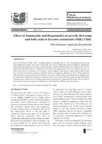 Effect of Daminozide and Flurprimidol on Growth, Flowering and Bulb Yield of Eucomis Autumnalis (Mill.) Chitt