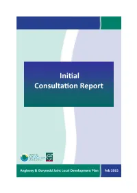 Preliminary Consultation Report