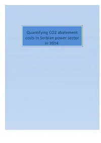 Quantifying CO2 Abatement Costs in Serbian Power Sector in 2014
