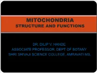 Mitochondria Structure and Functions