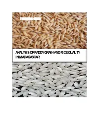 Analysis of Paddy Grain and Rice Quality in Madagascar