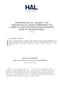 MORPHOLOGICAL, GENETIC and CHROMOSOMAL CHARACTERIZATION of CORSICAN and SPANISH BACILLUS ROSSIUS (INSECTA PHASMATODEA) F Tinti