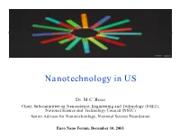 Nanotechnology in US