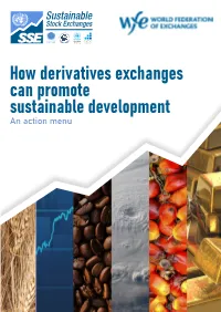 How Derivatives Exchanges Can Promote Sustainable Development an Action Menu