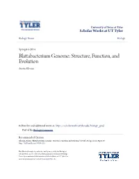 Blattabacterium Genome: Structure, Function, and Evolution Austin Alleman