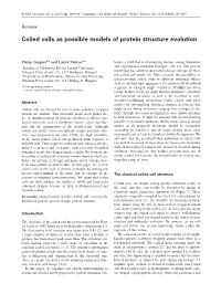 Coiled Coils As Possible Models of Protein Structure Evolution