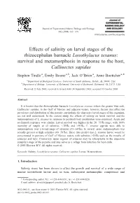 Effects of Salinity on Larval Stages of the Rhizocephalan Barnacle Loxothylacus Texanus: Survival and Metamorphosis in Response to the Host, Callinectes Sapidus