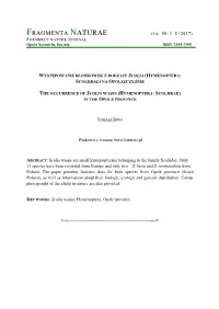 FN50 Scolia-Biwo.Pdf