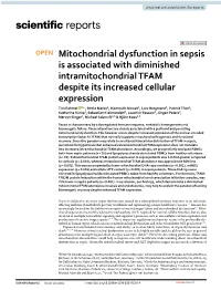 Mitochondrial Dysfunction in Sepsis Is Associated with Diminished