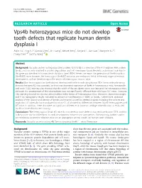 Vps4b Heterozygous Mice Do Not Develop Tooth Defects That Replicate