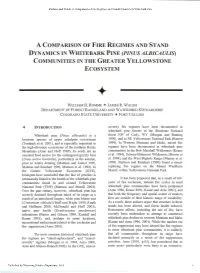 A Comparison of Fire Regimes and Stand D Ynamics in Whitebark Pine (Pinus Albicaulis) Communities in the Greater Yellowstone Ecosystem + William H
