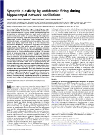 Synaptic Plasticity by Antidromic Firing During Hippocampal Network
