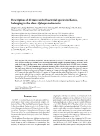 Description of 42 Unrecorded Bacterial Species in Korea, Belonging to the Class Alphaproteobacteria