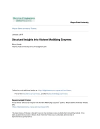 Structural Insights Into Histone Modifying Enzymes