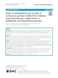 Study of Pathogenicity and Severity of Lactococcus Garvieae Isolated From