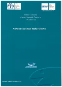 Web-Td-15.Pdf