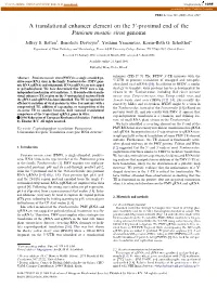 A Translational Enhancer Element on the 30-Proximal End of the Panicum Mosaic Virus Genome
