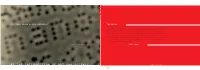 At the Intersection of Art and Science Exhibiting 02 Nano Nano Is a Collaboration Between Media Artist Victoria Vesna and Contents: Nano Scientist Jim Gimzewski