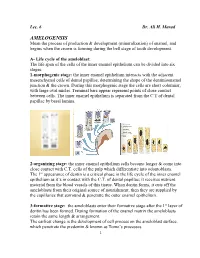 AMELOGENSIS Mean the Process of Production & Development (Mineralization) of Enamel, and Begins When the Crown Is Forming During the Bell Stage of Tooth Development