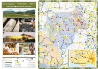 Grampians · Pyrenees · Henty MURTOA S C238 UD - T B220 C272