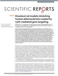 Knockout Rat Models Mimicking Human Atherosclerosis Created By