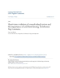Short-Term Evolution of a Marsh Island System and the Importance of Cold