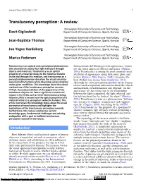 Translucency Perception: a Review