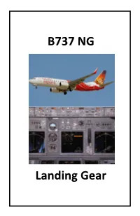B737 NG Landing Gear