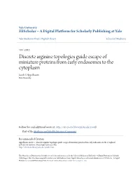 Discrete Arginine Topologies Guide Escape of Miniature Proteins from Early Endosomes to the Cytoplasm Jacob S