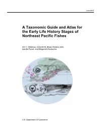 Ichthyoplankton Information System (IIS) Report