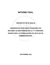 Informe Final