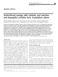 Sorbicillinoid Analogs with Cytotoxic and Selective Anti-Aspergillus Activities from Scytalidium Album