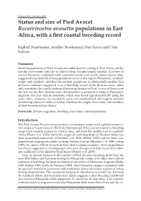 Status and Size of Pied Avocet Recurvirostra Avosetta Populations in East Africa, with a First Coastal Breeding Record