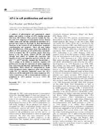 AP-1 in Cell Proliferation and Survival
