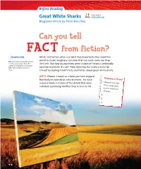Great White Sharks Thinkcentral.Com Magazine Article by Peter Benchley