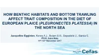 How Benthic Habitats and Bottom Trawling Affect Trait Composition in the Diet of European Plaice (Pleuronectes Platessa) in the North Sea