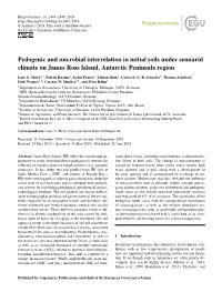 Pedogenic and Microbial Interrelation in Initial Soils Under Semiarid Climate on James Ross Island, Antarctic Peninsula Region