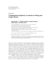 Editorial Computational Algebraic Geometry in String and Gauge Theory